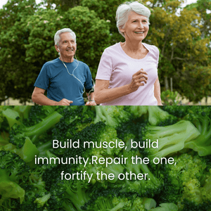 40+ MUSCLE BONE JOINT ADVANCE SUPPORT